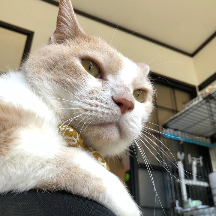 9c1b5f58 27c4 4528 b748 8c44b4bc90be 1572834308775