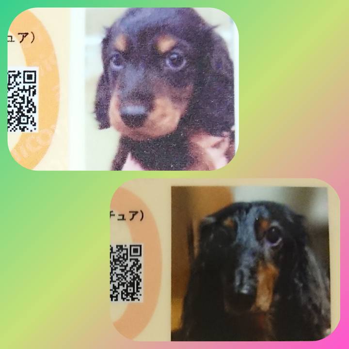 9c1b7485 ed51 42a8 868e 3a757ea2cdac 1606978701067