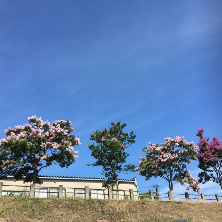 9c1b8b86 250b 4500 a026 f949fbb019b6 1565659798612