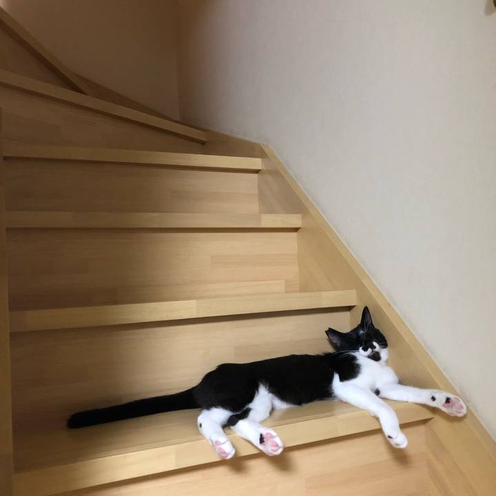 9c1bb1ea 0759 44cf a232 fe4bb9430afe 1535802149169