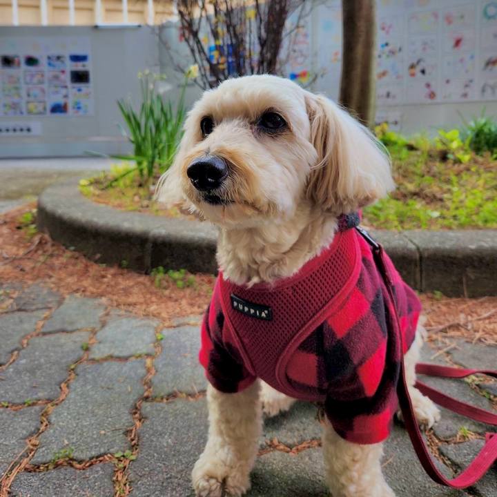 9c1bc024 5e8b 43b5 bfec 6b84676c514b 1768447811831