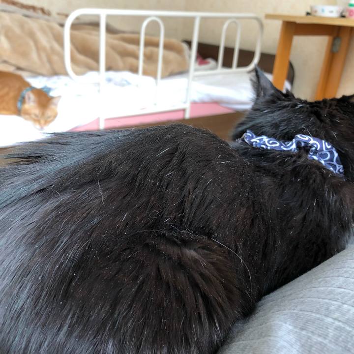 9c1bdfd2 9343 4420 8ef8 806997410bc9 1575764669028