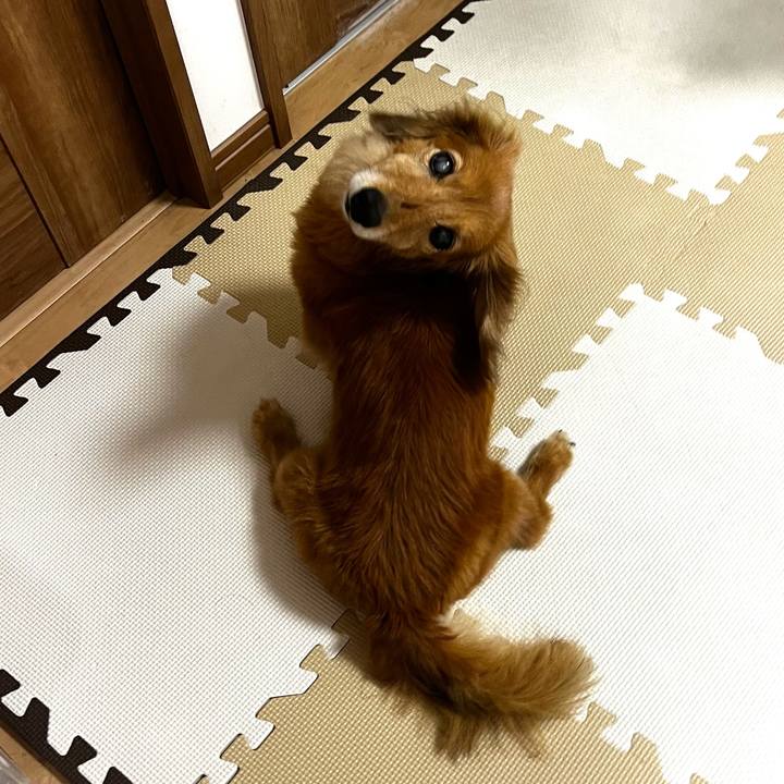 9c1c1663 cddc 4a85 abf7 49be9e3ae2b5 1657719979210