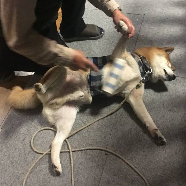 9c1c1f00 b30c 450d 8027 7e80d0eca839 1511602216587