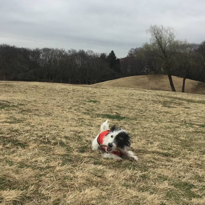 9c1c2830 0110 48a4 8ccd 4712c62f8eec 1520288862366