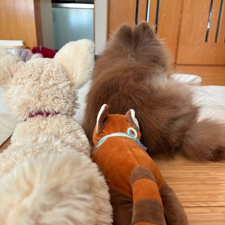 9c1c2863 3d39 4097 8237 329dcdf3a1db 1769310735802