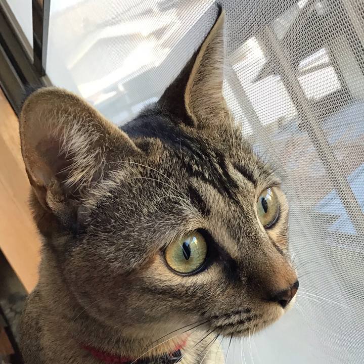 9c1c4316 3ef1 4e96 a167 9d76d1dd3445 1583912784115