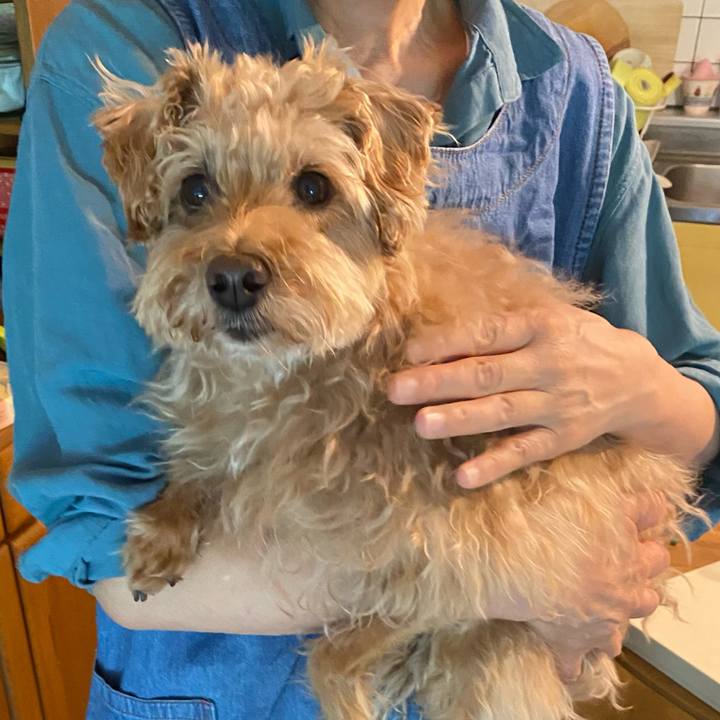 9c1c632a 6455 427e a72d 17db8b1df024 1686784367566