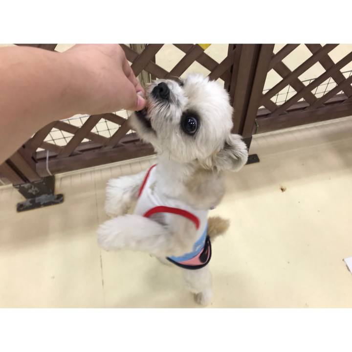 9c1c9550 41e4 48a6 9839 953328bc1363 1540381252763