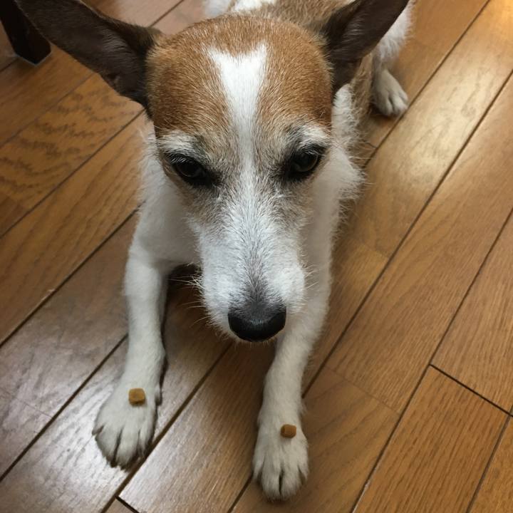 9c1c9977 b4a6 47ff 9b52 139434cc5f39 1661383890463