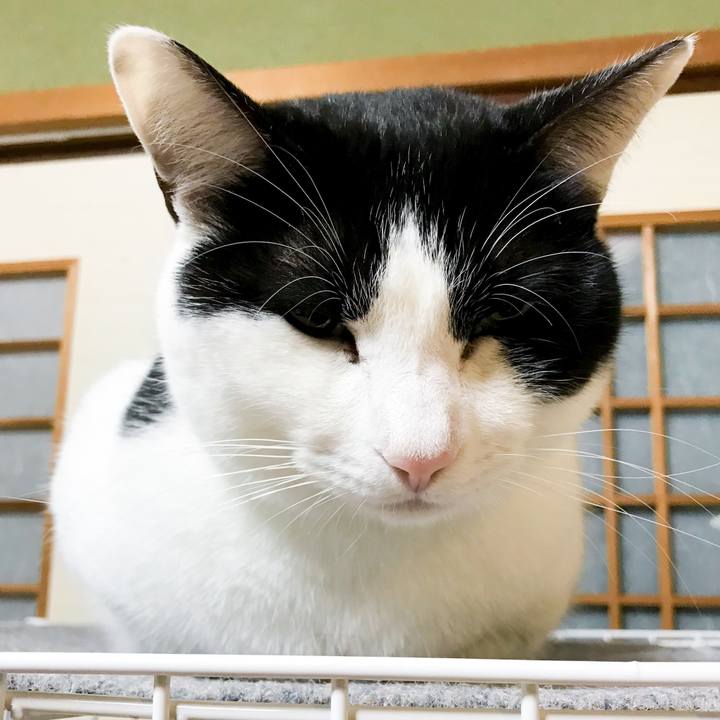 9c1c9fa7 1aba 4ea8 bab2 ba51336e2d33 1518223552544