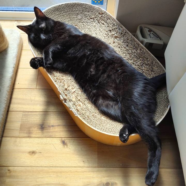 9c1cbbd8 806a 44cb 9de9 e13be07c0efe 1775517867654