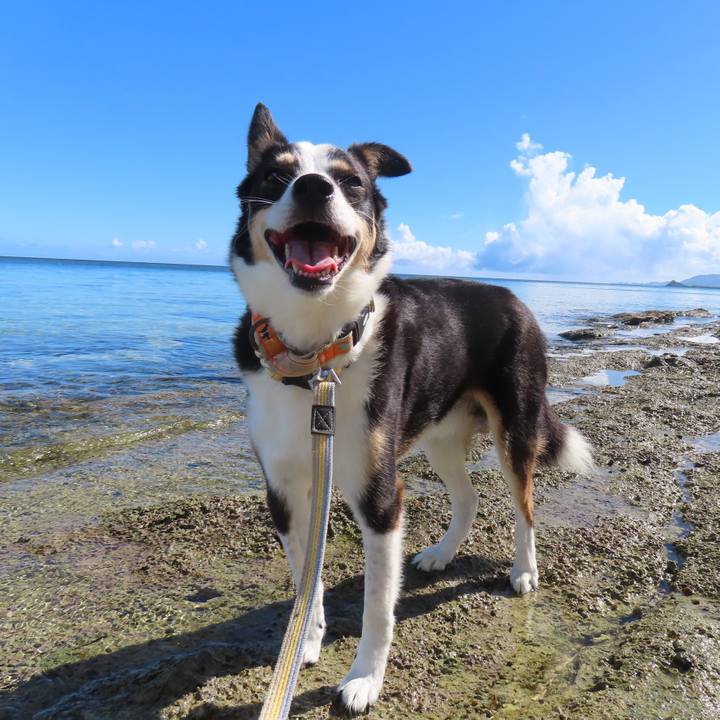 9c1cbe16 68c7 4961 92f2 90fc2fcb44fb 1749647563451