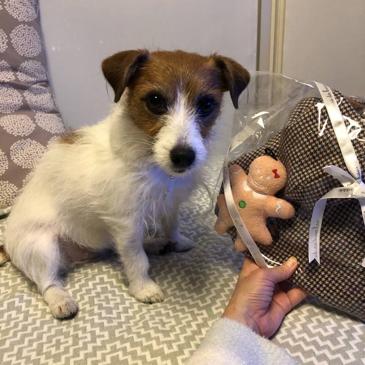 9c1ce1e2 4c8d 4c9d 8059 2d60a5630901 1608890346001