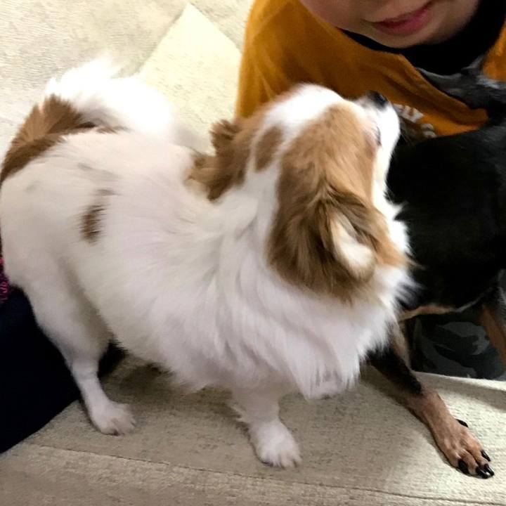 9c1d3ad2 9cf0 4f8d 93ac 383d43b76c09 1579394173443