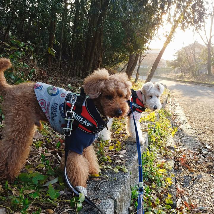 9c1d7efd 90e0 4196 8bea 080845c417cc 1520983379016