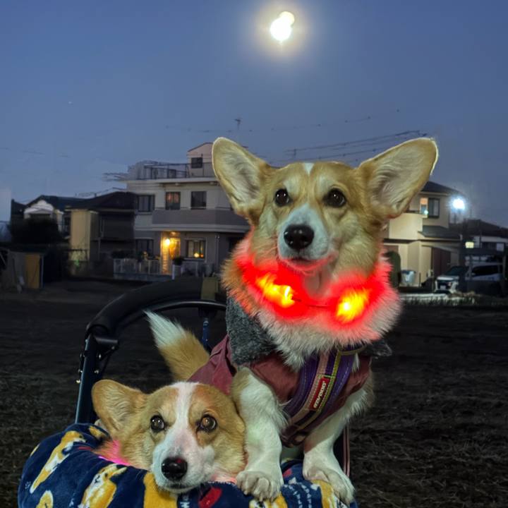 9c1db29d 8b1d 4e9d 8ef1 193fd03d21fc 1767477849721