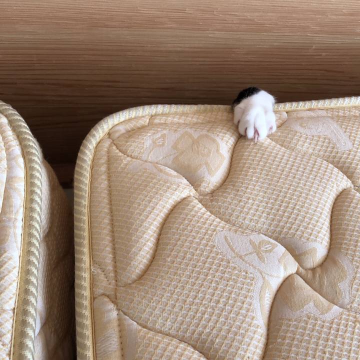 9c1dc540 a470 4454 b02b f607ae08097d 1548461483294