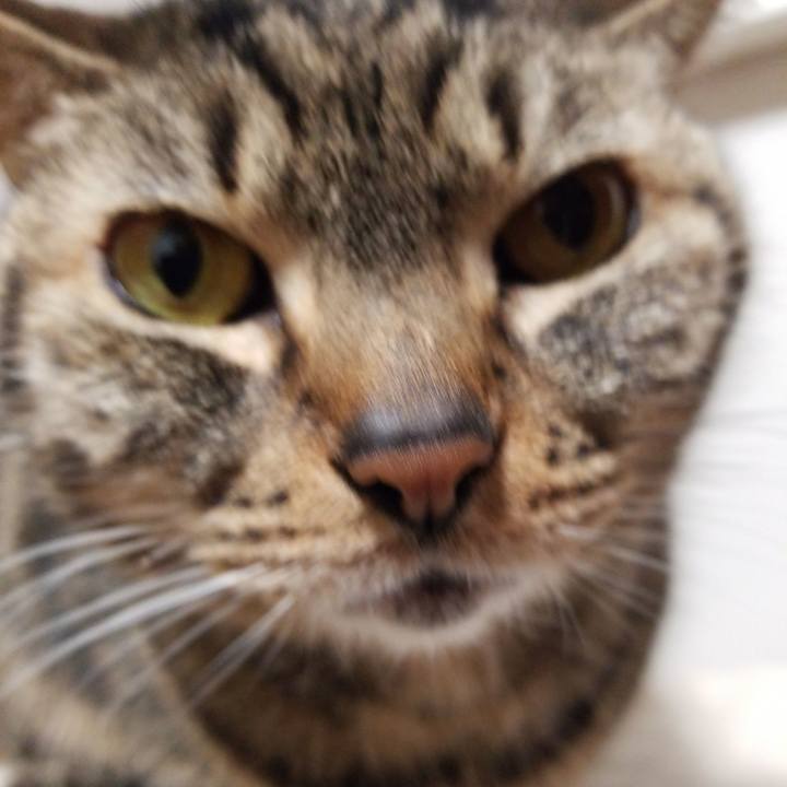 9c1dcf78 fe3d 42f6 8b6e 9013f4903c49 1584751751797