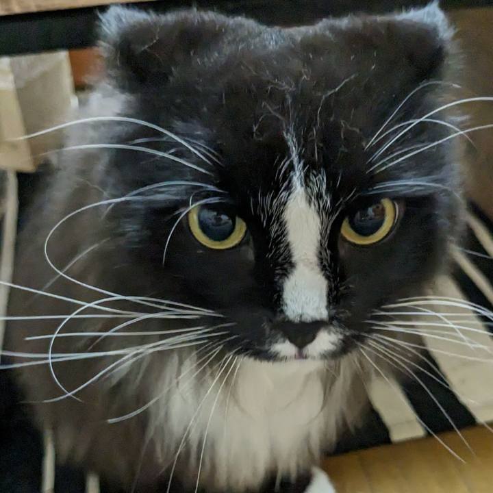 9c1dd7d2 de47 4d91 8859 c96b18761f9e 1688299090518