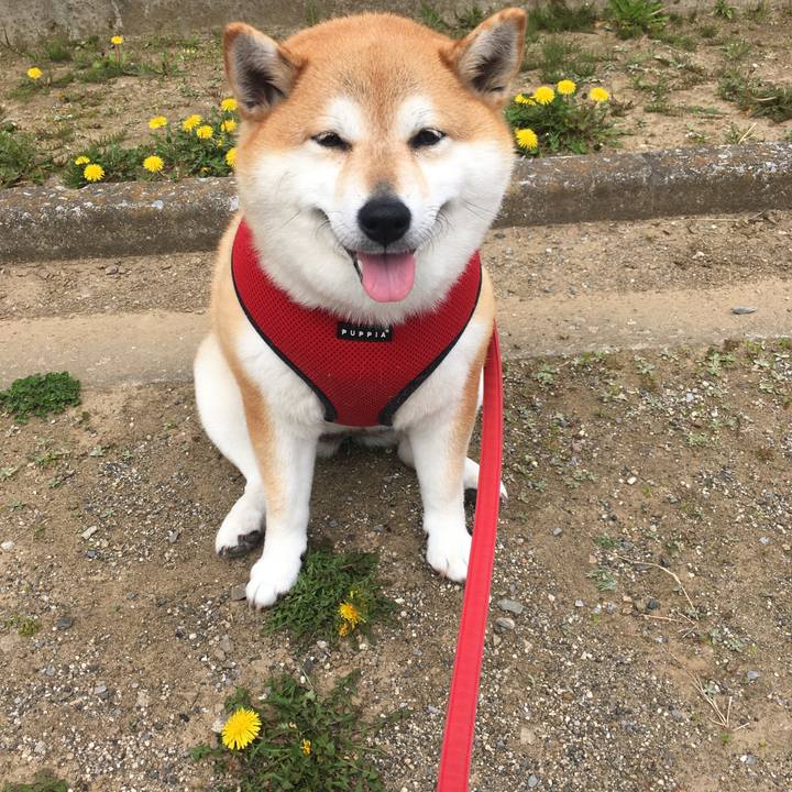 9c1de9f5 bd6c 41a5 9673 42668df5b279 1616212595938