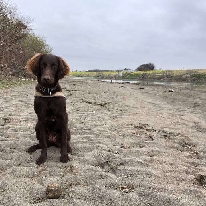 9c1e0d94 66f6 4b96 a4a9 0e983f0b47a8 1583555869825