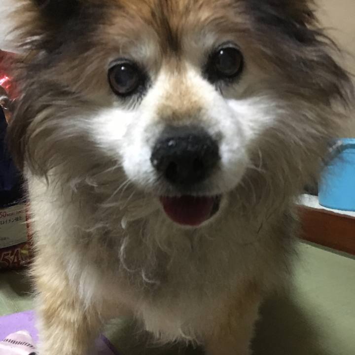 9c1e2c48 f2f7 461c 8298 a076ccf87e80 1592794853841