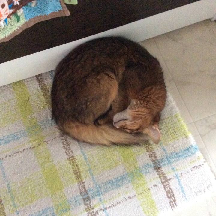 9c1e42f5 9c5d 4dbe 80c8 b7f70b11a99f 1566966752764