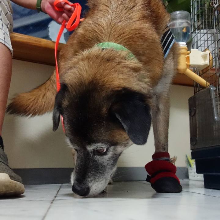 9c1e6084 9f0b 4d20 b8c2 b6aa7541a279 1645752723248