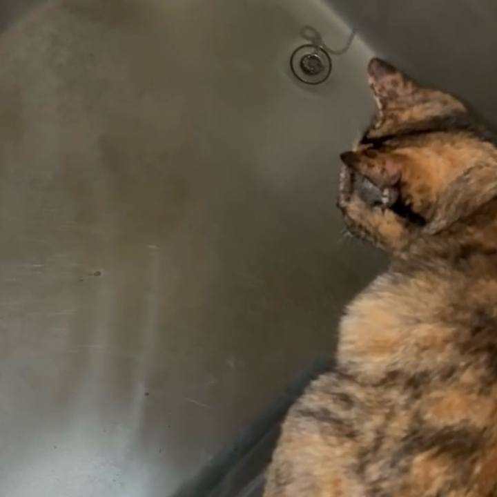 9c1e6ebf b5ee 4d73 8c12 bf6c0652f429 1767645938302