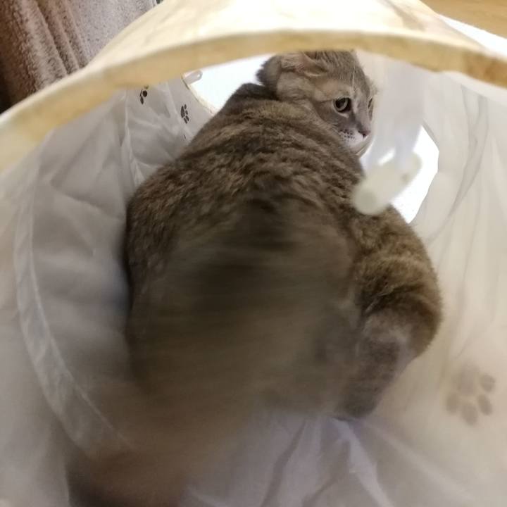 9c1e7ab7 01d2 46d0 8359 216064b9b752 1547476494798