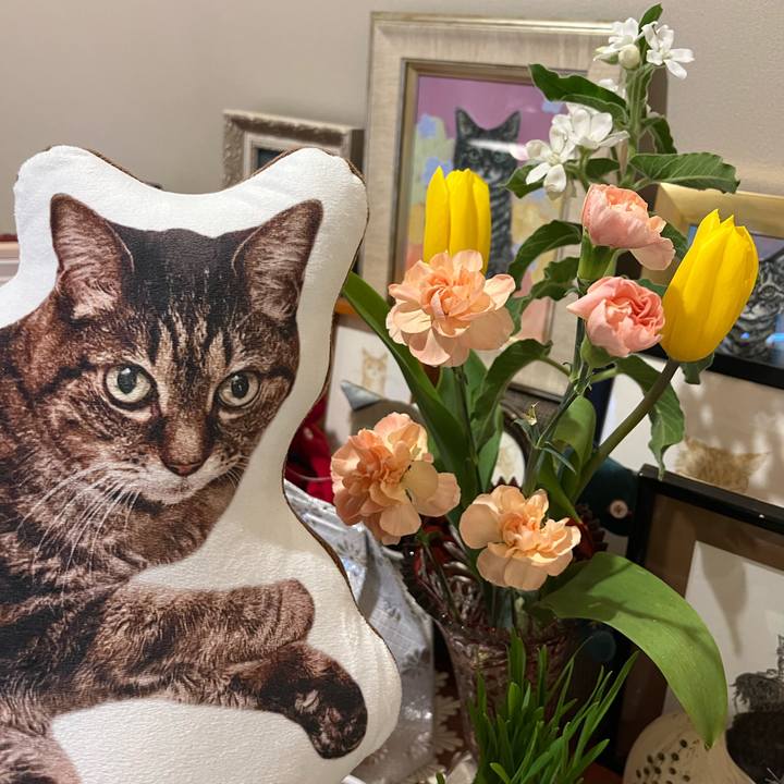 9c1ea205 e6cf 4098 9766 a4ad073b792f 1776431625752