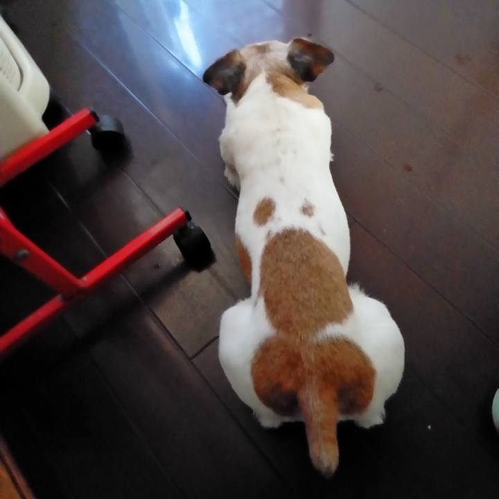 9c1eb209 d3c0 4fb8 ad7a 904d2c0ad995 1565173318890