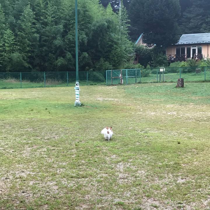 9c1f3a06 d3ef 4f7f 9f91 f03ba1c28de0 1566303230992