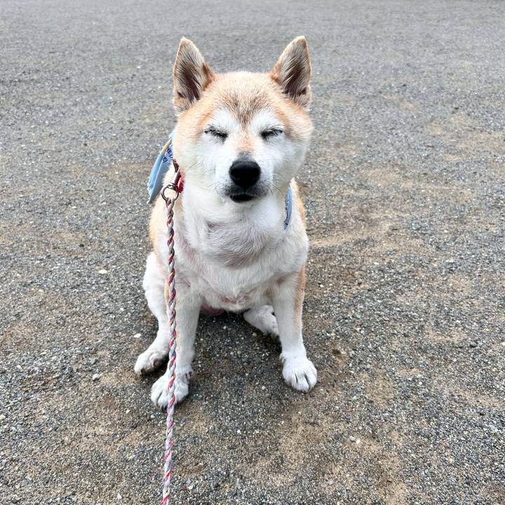 9c1f62c7 721d 4430 8cb6 fcc229ea0536 1752537674461