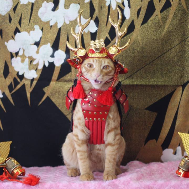 9c1f6797 a5b4 4155 bde4 77a4cc8debcc 1683157937086