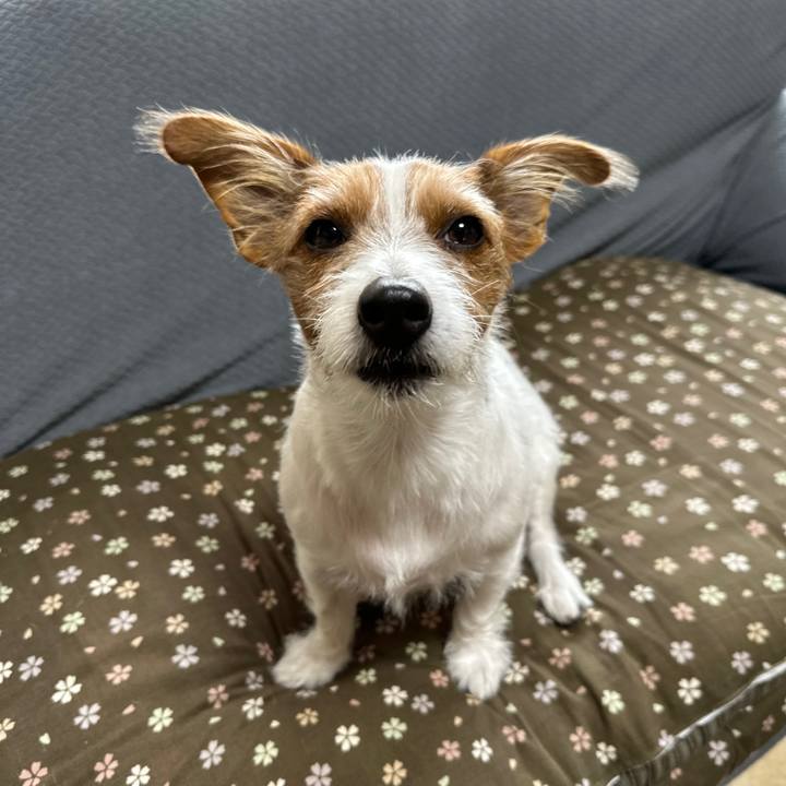 9c1f6b36 e401 4d72 bddc 4af05233a38a 1762558701113