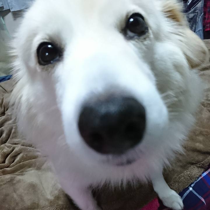 9c1f7a7c 8681 4740 a9b2 bf2df9810ac5 1515235920848