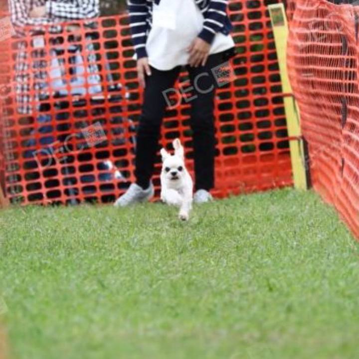 9c1f889b 0d29 497d 84c0 e5c74e04dabb 1539860347554