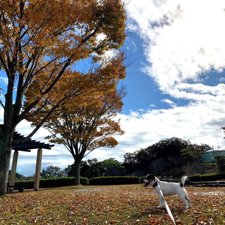 9c1f8d07 b2fd 439e 918c 9f0bd55f6e80 1574497411092