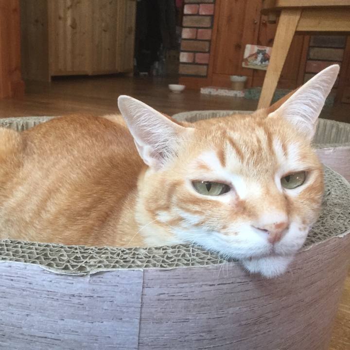 9c1fb640 4591 4766 b4f4 84bbf08fb908 1550380037853