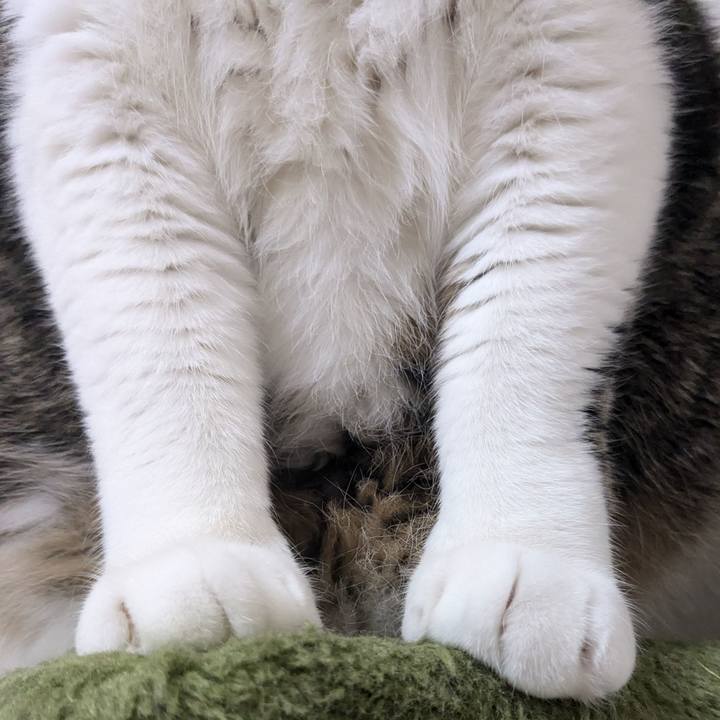 9c1fc7eb 4ea4 43f1 b820 f630d0dd409f 1735255217908