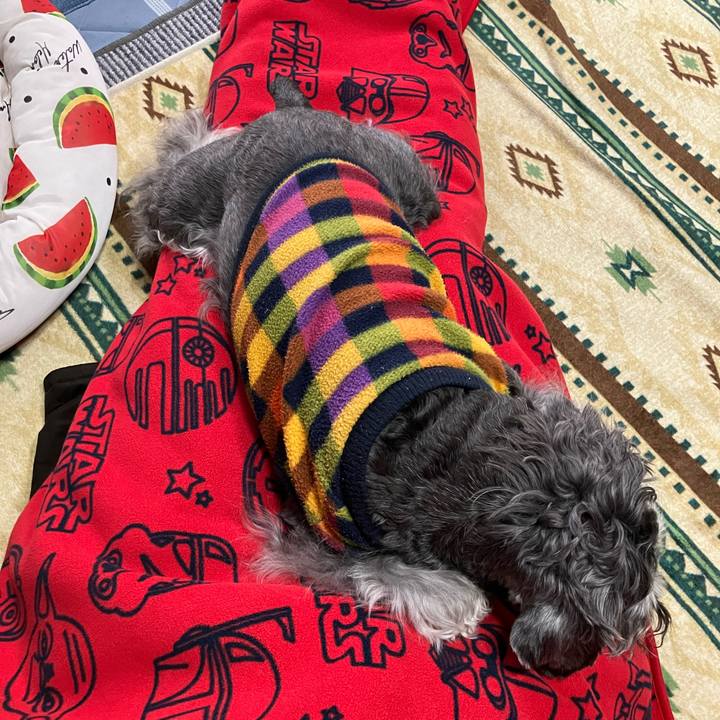 9c20043e 88fc 4755 b8d1 9509f2720898 1732431686487