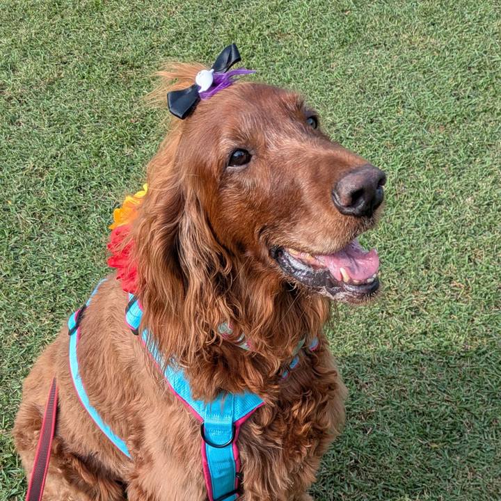 9c200708 5b6f 434e 955d 4b9c0bb24d04 1759810045061