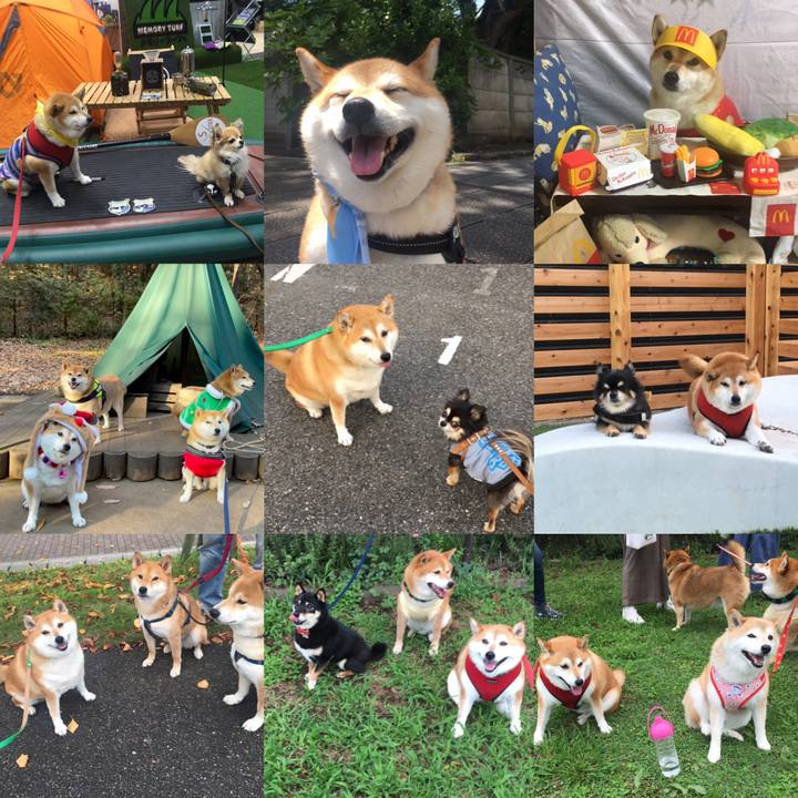 9c200b2f e39e 4292 b23d eb8a264e91ee 1640752659595