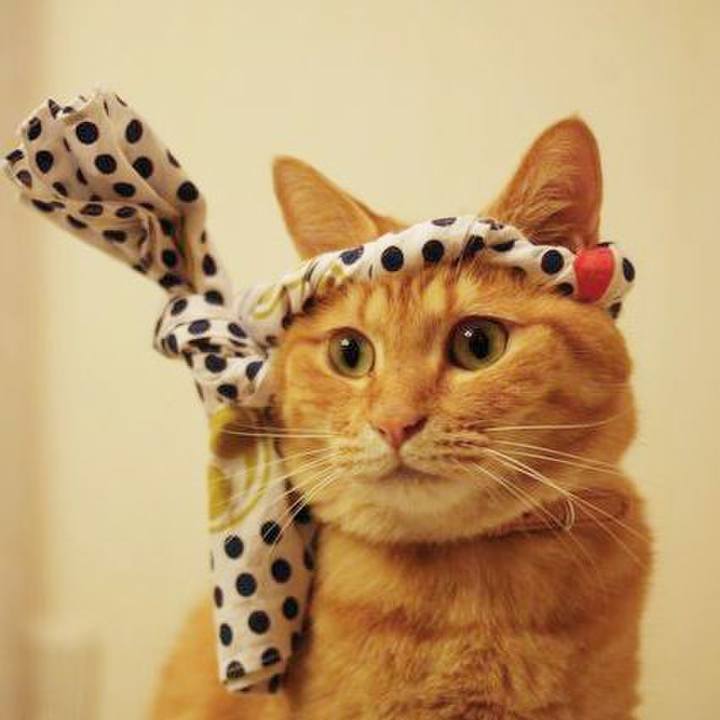 9c204209 607d 4d22 b875 d8e8798265e6 1719656246780