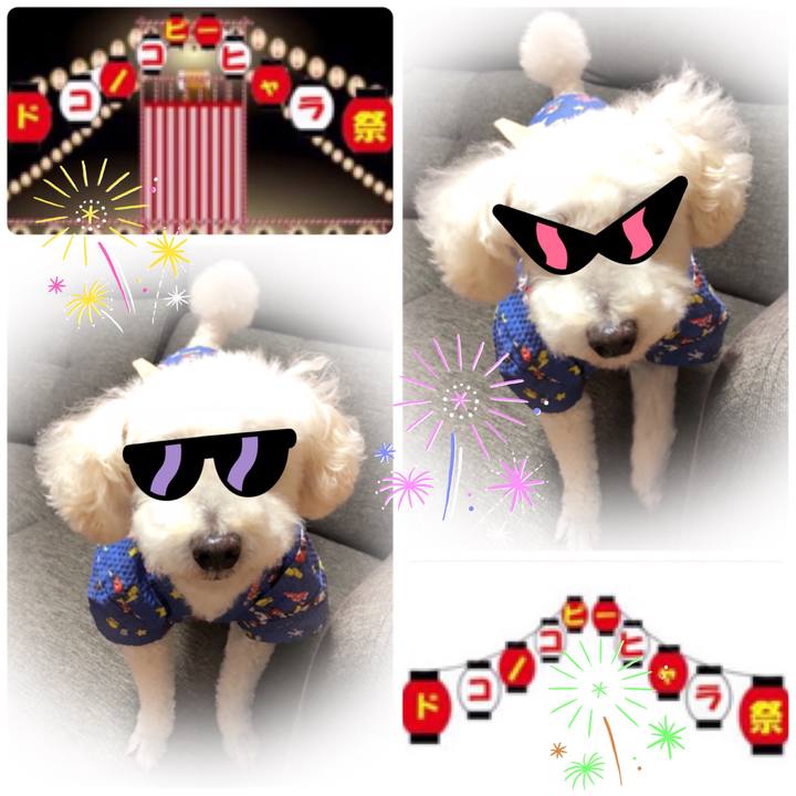 9c20595a e45a 4f80 a63b 8d898f2d918c 1533388840226