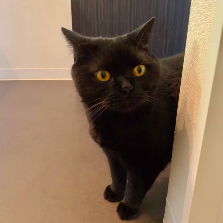 9c208469 8b3a 4027 8d7b c1233350bf54 1624957559094