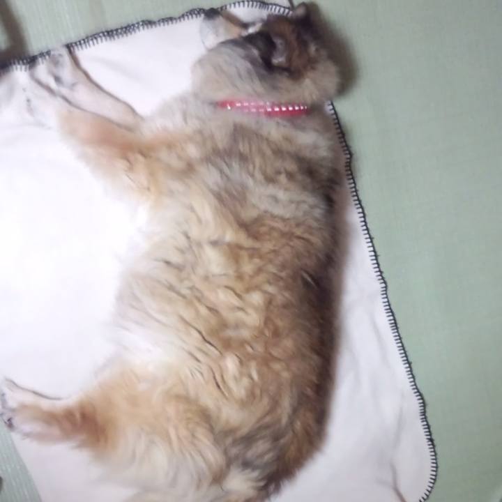 9c2099c7 e487 4e13 996b 942e332d65d9 1563735615992