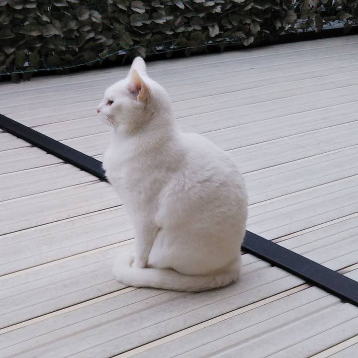 9c20be04 80f7 470f 87a8 2ec0e7c64430 1543907431157